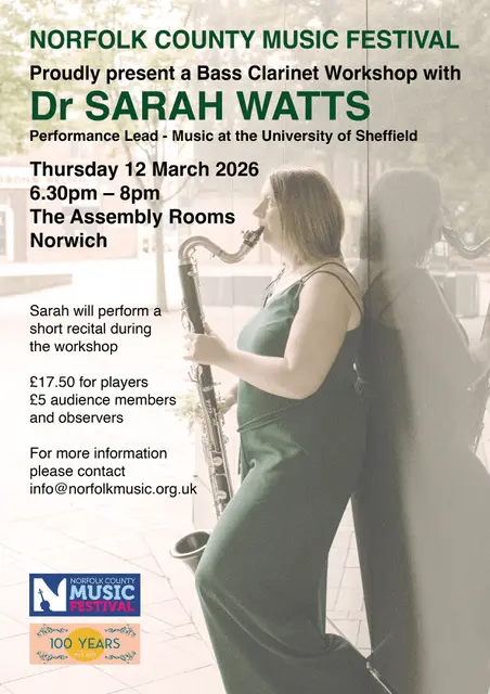 Music Festival Elsabe poster